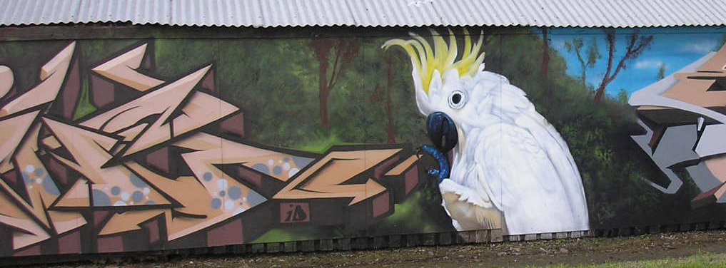 Northcote Rifle Club Slide 3